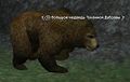 Большой медведь Туманной Дубравы.jpg