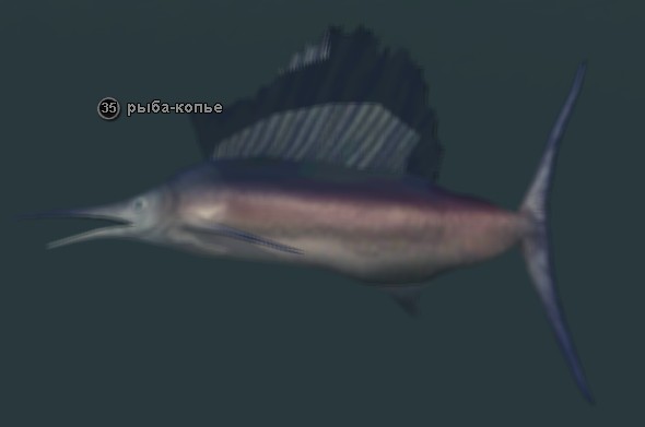 Марлин рыба. Xiphias gladius меч-рыба. Makaira nigricans. Марлин рыба. Рыба с длинным носом.