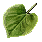 Leaf icon.png