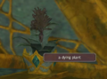 A dying plant.png