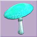 Mature Blue Fungus.jpg