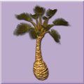 Ancient Sands Palm.jpg
