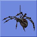 Закованный паук.jpg