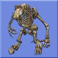 Nights of the Dead Ashlok Skeleton Costume.jpg