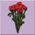 Red Rose Bouquet.jpg
