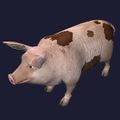 Mighty Spotted Pig.jpg