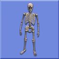 Petamorph Wand Cackling Skeleton.jpg