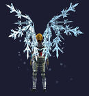 Frost Covered Flight Wings.jpg