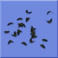 Bat Swarm Plushie.jpg