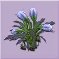 Small Lavender Vesspyr Bellplant.jpg