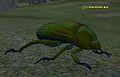 Гигантский жук.jpg