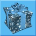 Square Frost Wrapped Present.jpg