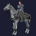 Боевая серая кавалерийская лошадь.jpg