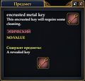Encrusted metal key.jpg