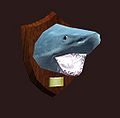 Акулья голова-трофей.jpg